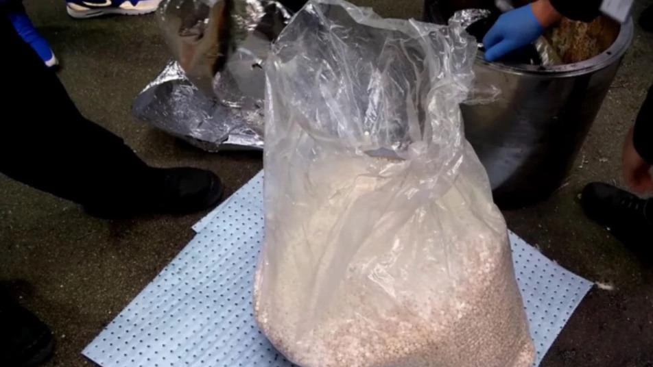Greece seizes record amount of amphetamine Captagon shipped from Syria