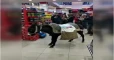 Turks shop with donkey, wheelbarrow