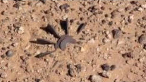 Mine kills civilian in Deir ez-Zoor countryside