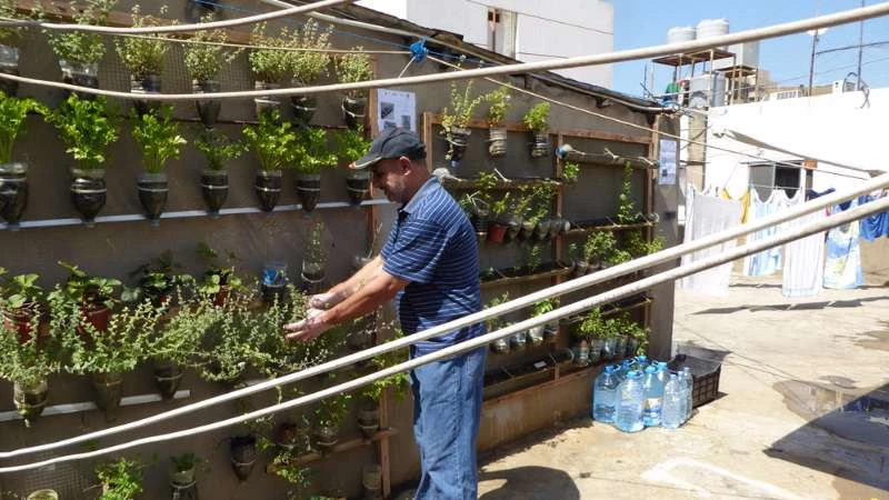Syrian refugees find solace in rooftop gardens