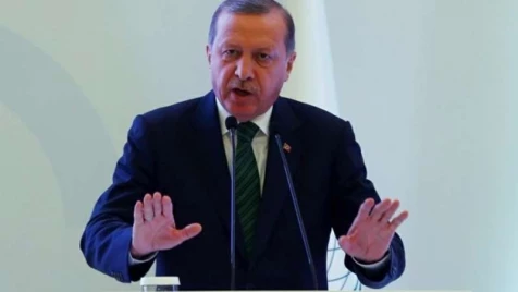 Erdogan: Turkey to take action on Syria border if it receives no help