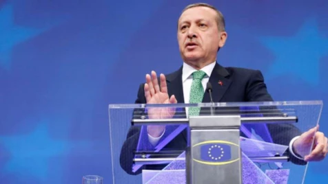 Leaked transcript: Erdogan lambasts EU leaders over Syria policy