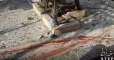 Shiite militias kill 12 civilians in Wadi Barada’s Deir Qanoon