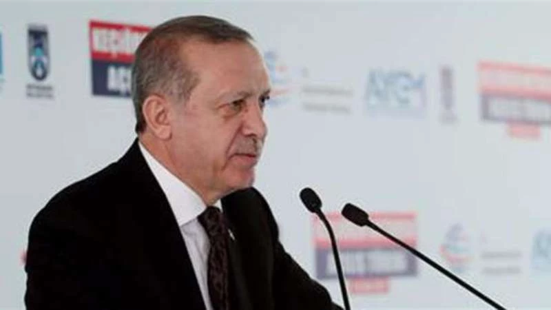Turkey told not to go further than 20 kms in Syria - Erdogan